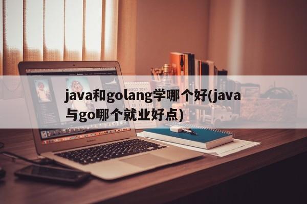 java和golang学哪个好(java与go哪个就业好点)  第1张