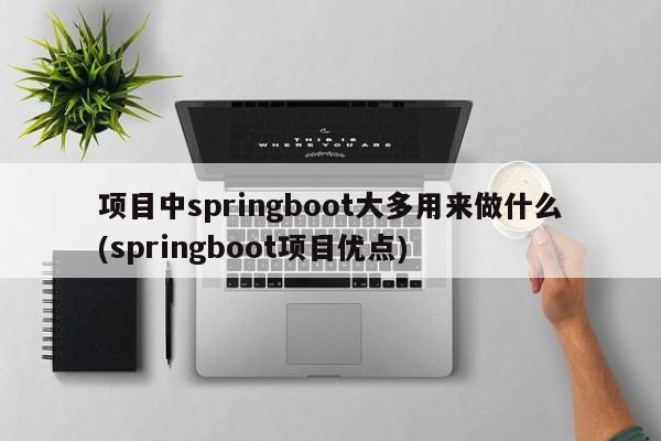 项目中springboot大多用来做什么(springboot项目优点)  第1张