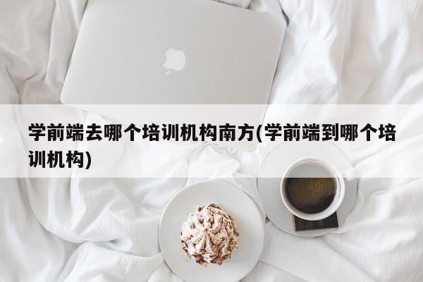 学前端去哪个培训机构南方(学前端到哪个培训机构)  第1张