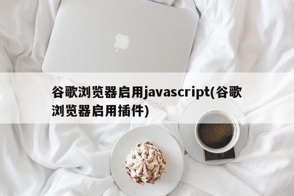 谷歌浏览器启用javascript(谷歌浏览器启用插件)  第1张