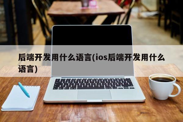 后端开发用什么语言(ios后端开发用什么语言)  第1张