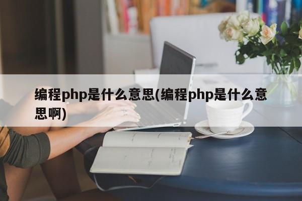 编程php是什么意思(编程php是什么意思啊)  第1张