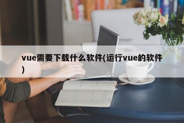 vue需要下载什么软件(运行vue的软件)  第1张