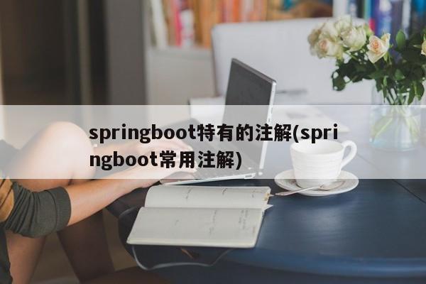 springboot特有的注解(springboot常用注解)  第1张