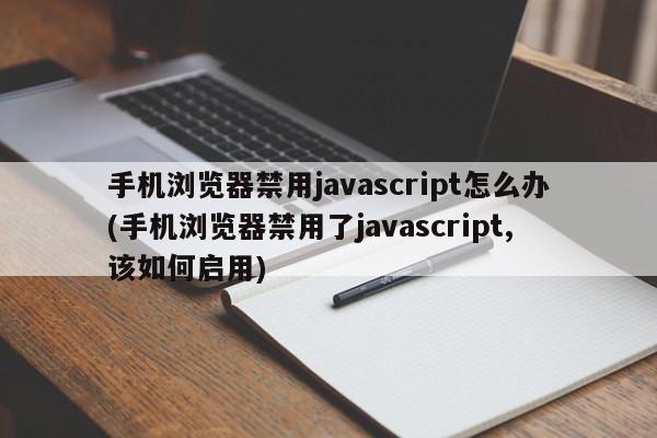 手机浏览器禁用javascript怎么办(手机浏览器禁用了javascript,该如何启用)  第1张