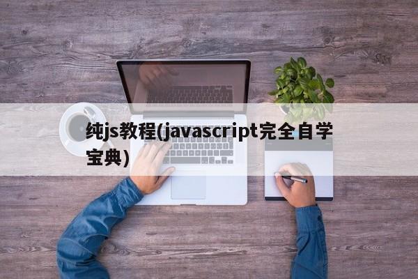 纯js教程(javascript完全自学宝典)  第1张