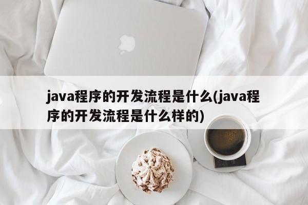 java程序的开发流程是什么(java程序的开发流程是什么样的)  第1张