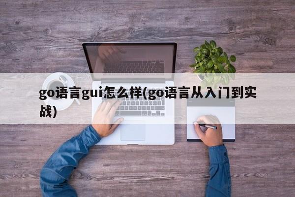 go语言gui怎么样(go语言从入门到实战)  第1张