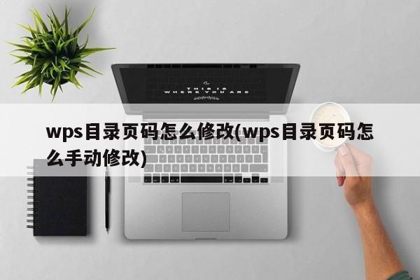 wps目录页码怎么修改(wps目录页码怎么手动修改)  第1张