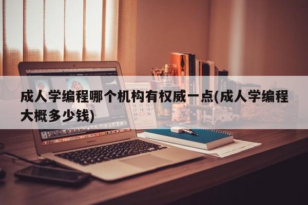 成人学编程哪个机构有权威一点(成人学编程大概多少钱)  第1张