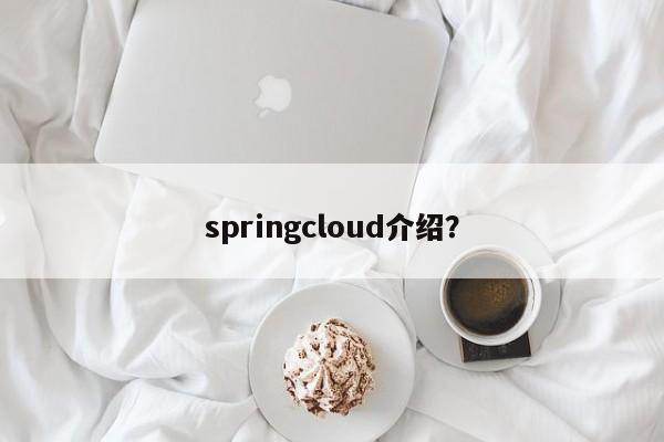 springcloud介绍？  第1张