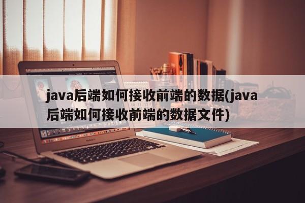 java后端如何接收前端的数据(java后端如何接收前端的数据文件)  第1张