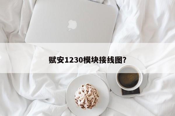 赋安1230模块接线图？  第1张