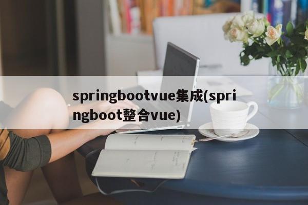 springbootvue集成(springboot整合vue)  第1张