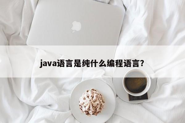 java语言是纯什么编程语言？  第1张