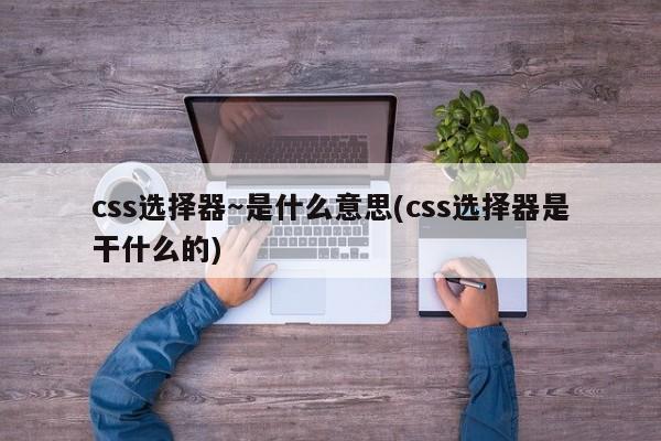 css选择器～是什么意思(css选择器是干什么的)  第1张