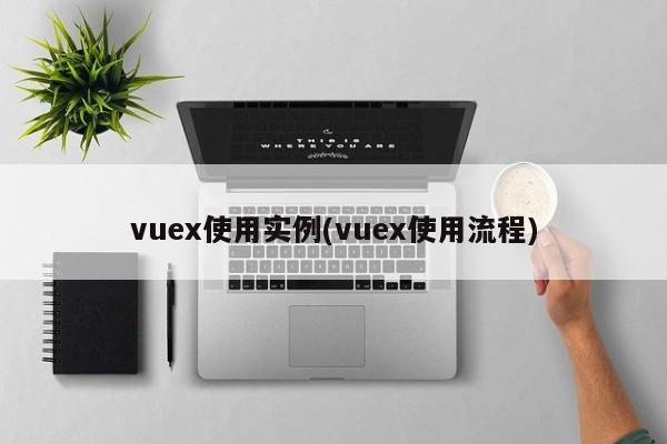 vuex使用实例(vuex使用流程)  第1张