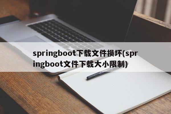 springboot下载文件损坏(springboot文件下载大小限制)  第1张