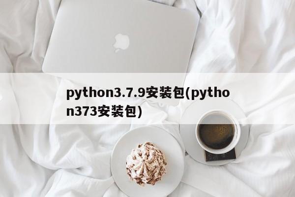 python3.7.9安装包(python373安装包)  第1张