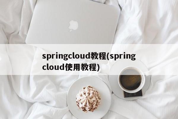 springcloud教程(springcloud使用教程)  第1张