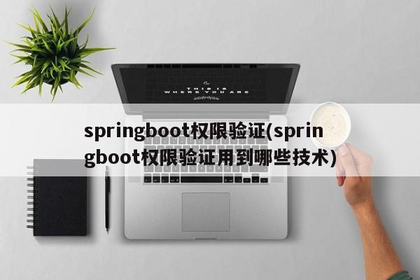 springboot权限验证(springboot权限验证用到哪些技术)  第1张