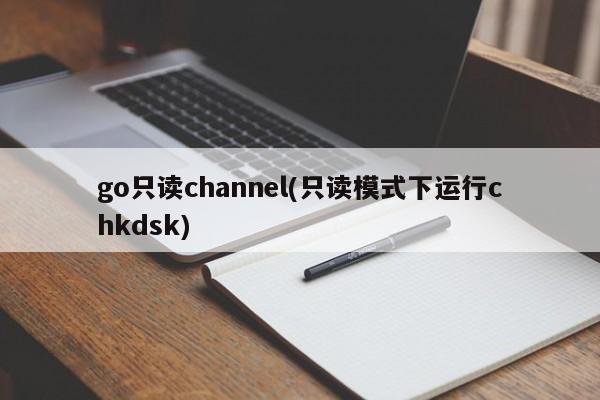 go只读channel(只读模式下运行chkdsk)  第1张