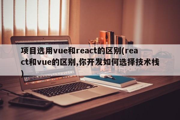 项目选用vue和react的区别(react和vue的区别,你开发如何选择技术栈)  第1张