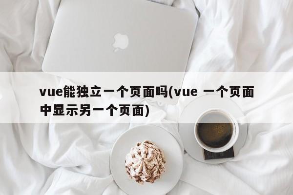 vue能独立一个页面吗(vue 一个页面中显示另一个页面)  第1张