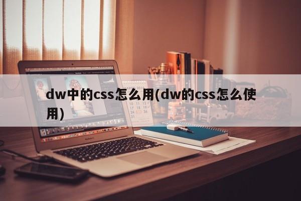 dw中的css怎么用(dw的css怎么使用)  第1张