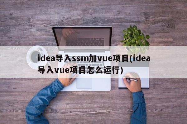 idea导入ssm加vue项目(idea导入vue项目怎么运行)  第1张