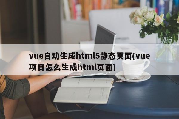 vue自动生成html5静态页面(vue项目怎么生成html页面)  第1张