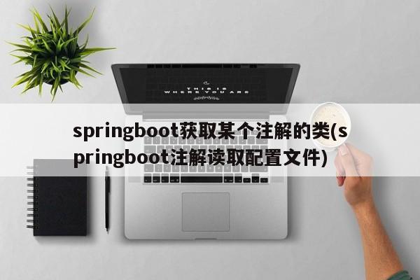 springboot获取某个注解的类(springboot注解读取配置文件)  第1张