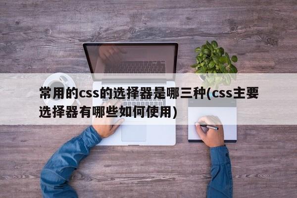 常用的css的选择器是哪三种(css主要选择器有哪些如何使用)  第1张