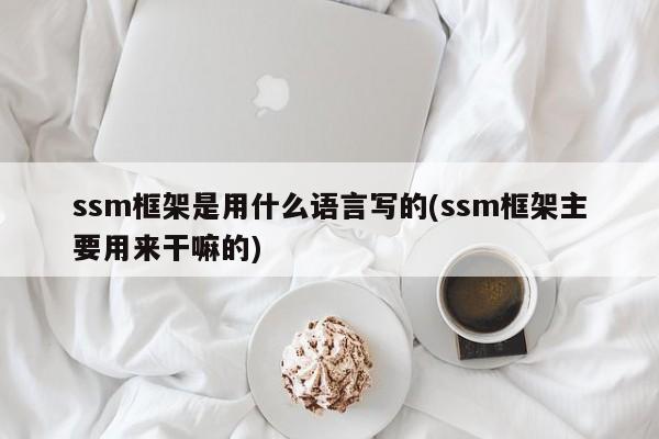 ssm框架是用什么语言写的(ssm框架主要用来干嘛的)  第1张