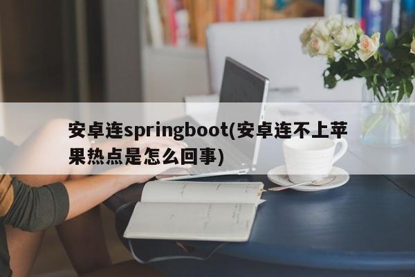 安卓连springboot(安卓连不上苹果热点是怎么回事)  第1张