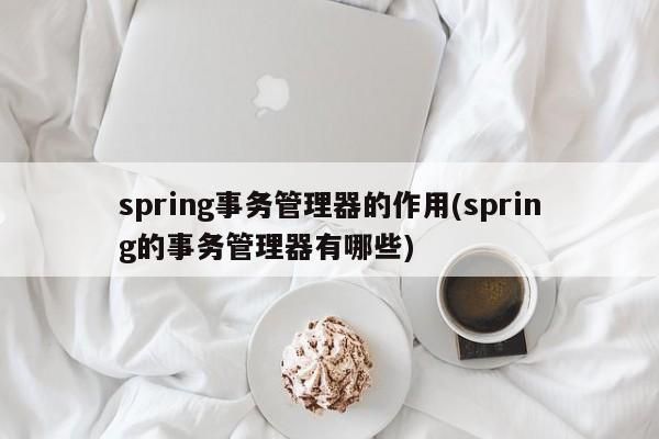 spring事务管理器的作用(spring的事务管理器有哪些)  第1张