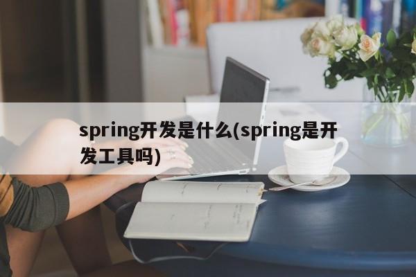 spring开发是什么(spring是开发工具吗)  第1张