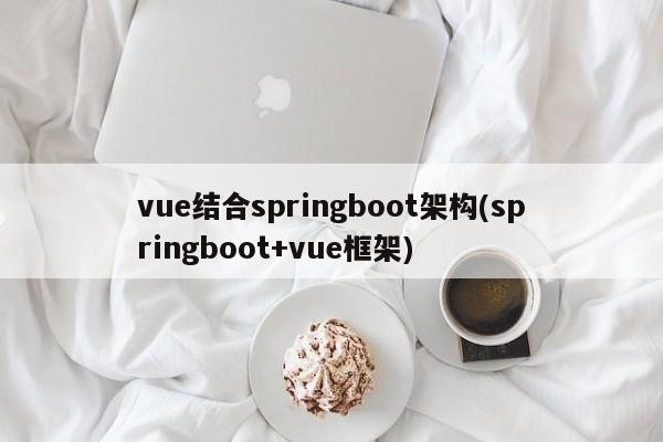 vue结合springboot架构(springboot+vue框架)  第1张