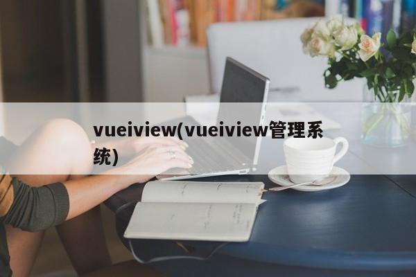 vueiview(vueiview管理系统)  第1张