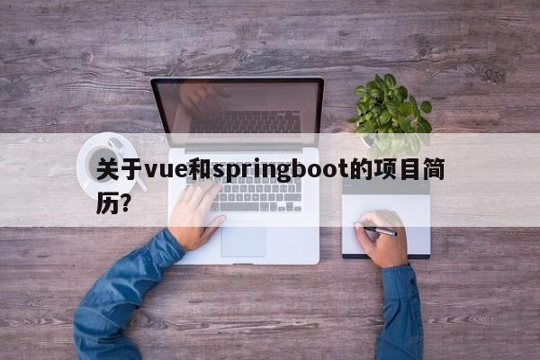 关于vue和springboot的项目简历？  第1张