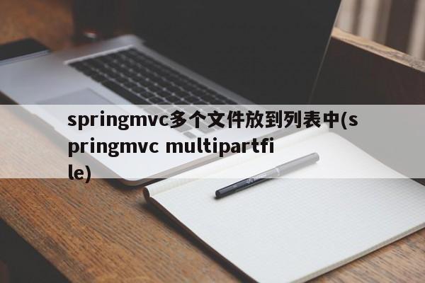 springmvc多个文件放到列表中(springmvc multipartfile)  第1张