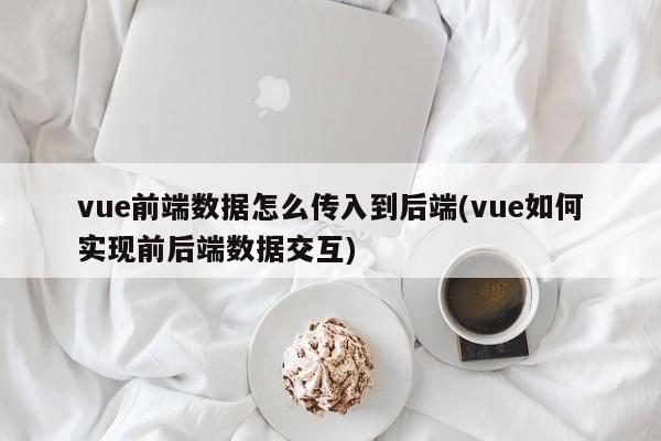 vue前端数据怎么传入到后端(vue如何实现前后端数据交互)  第1张