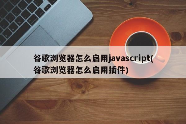 谷歌浏览器怎么启用javascript(谷歌浏览器怎么启用插件)  第1张