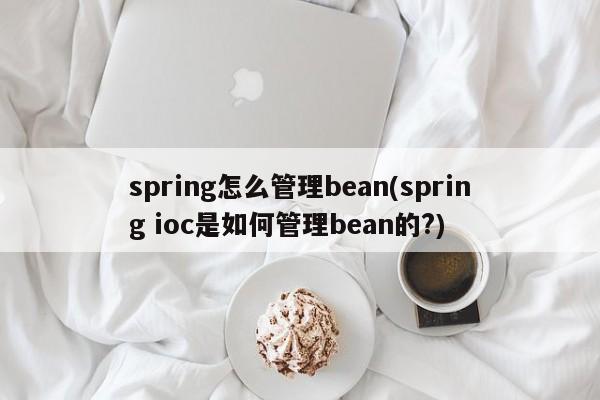 spring怎么管理bean(spring ioc是如何管理bean的?)  第1张