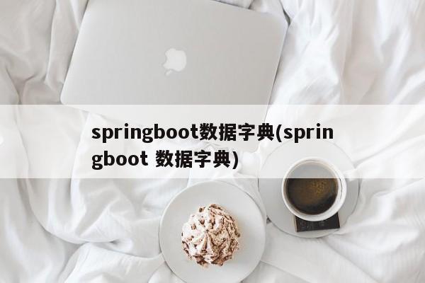 springboot数据字典(springboot 数据字典)  第1张