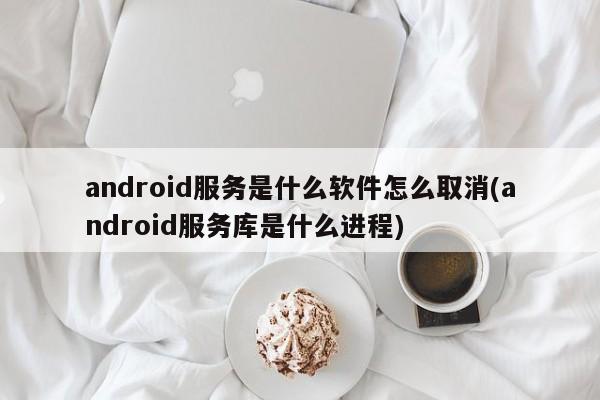 android服务是什么软件怎么取消(android服务库是什么进程)  第1张