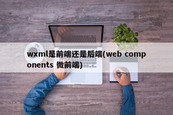 wxml是前端还是后端(web components 微前端)  第1张