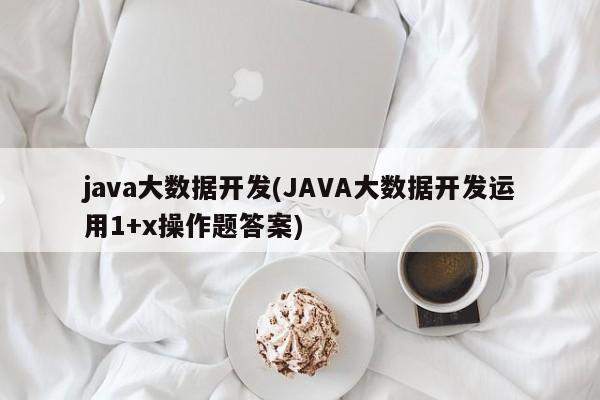 java大数据开发(JAVA大数据开发运用1+x操作题答案)  第1张