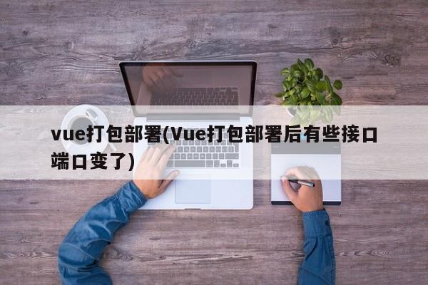 vue打包部署(Vue打包部署后有些接口端口变了)  第1张