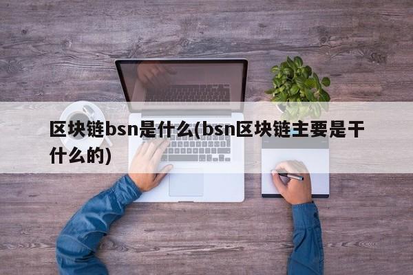 区块链bsn是什么(bsn区块链主要是干什么的)